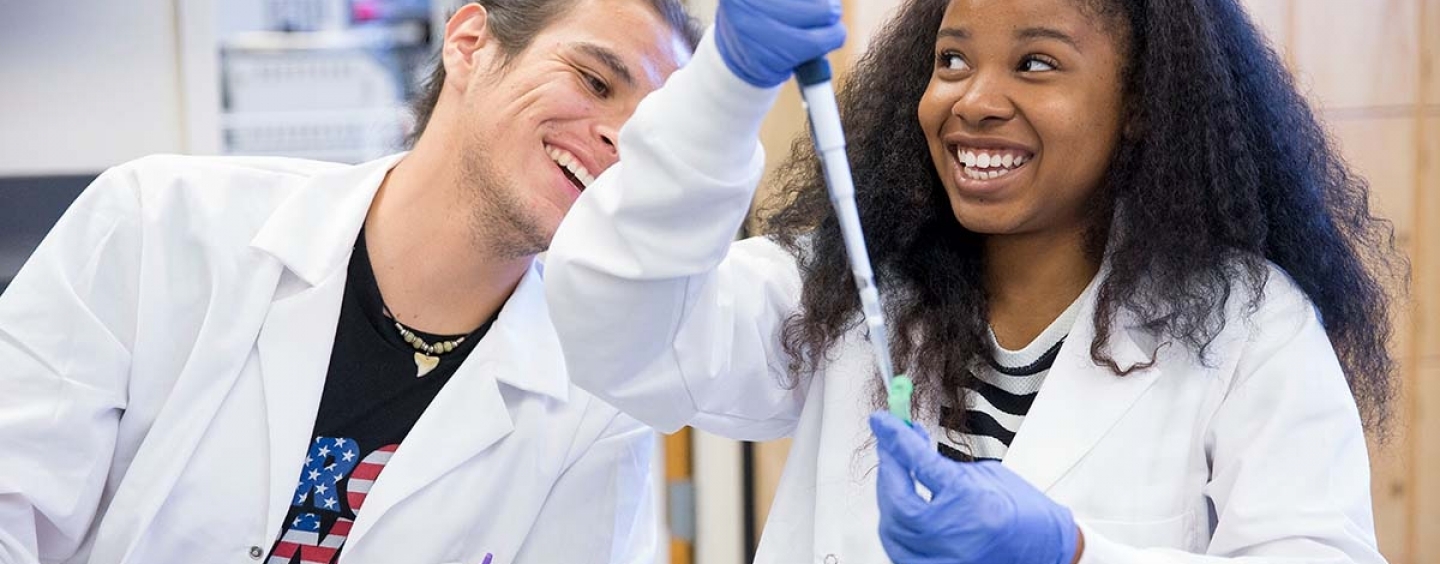 Students in a biolofy lab